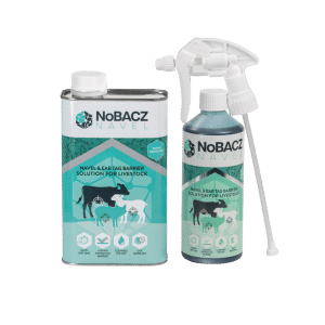 NoBacz Navel