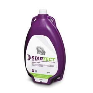 startect oral solution for sheep