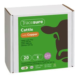 tracesure Cattle Bolus with Copper