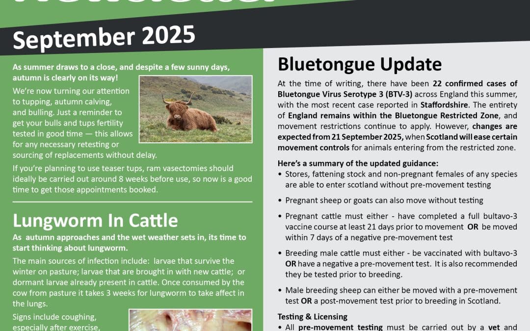 Newsletter September 2025