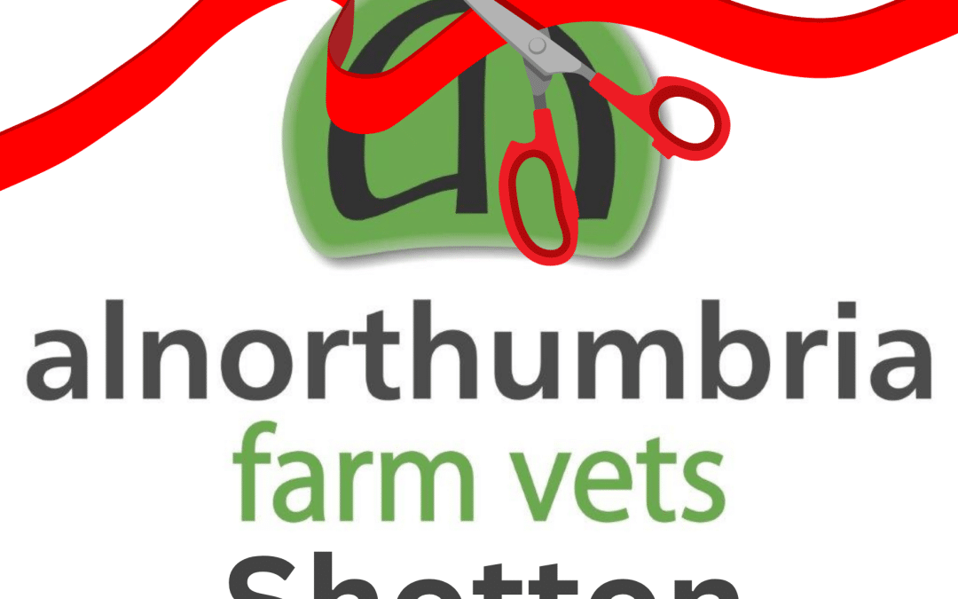 Week One- Alnorthumbria Farm Vets – Shotton