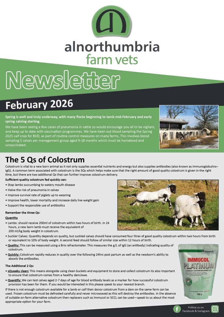 Newsletter February 2026 February newsletter