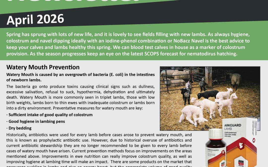 Newsletter April 2026