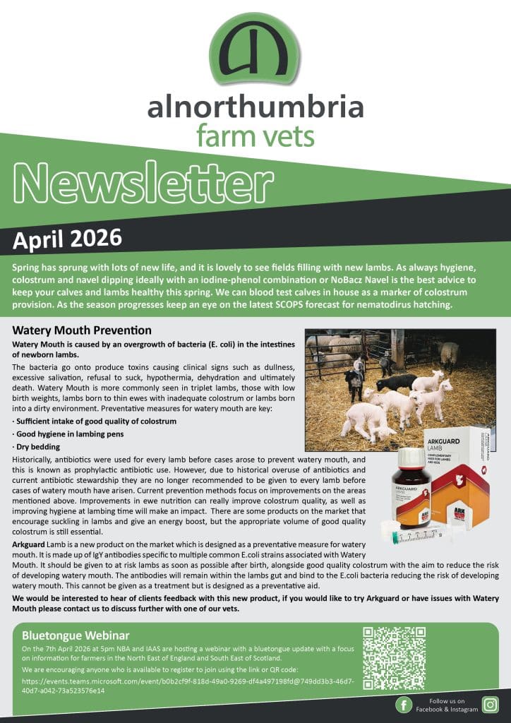 Newsletter April 2026
