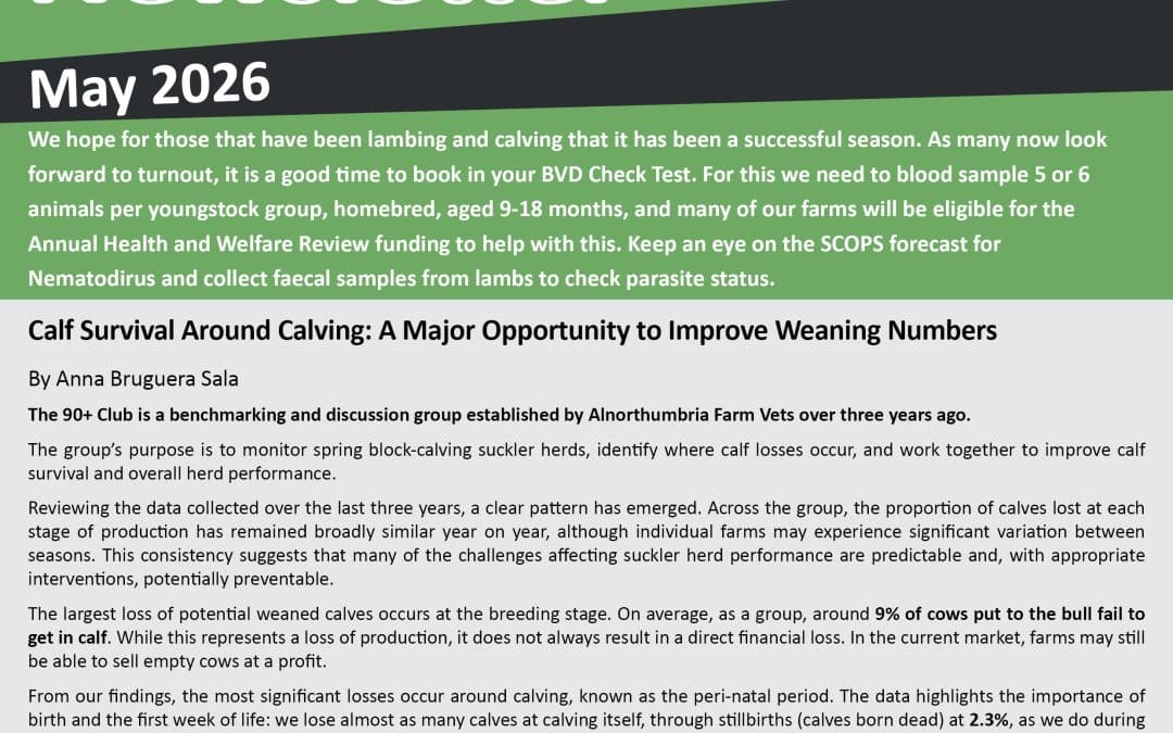 Newsletter May 2026