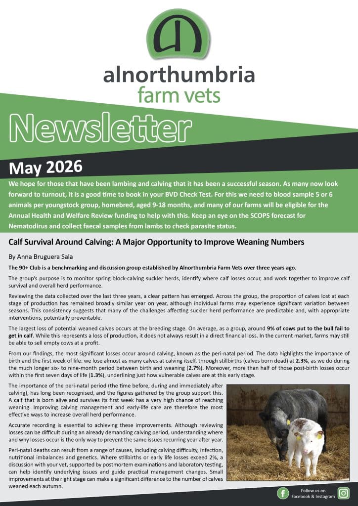 Newsletter May 2026
