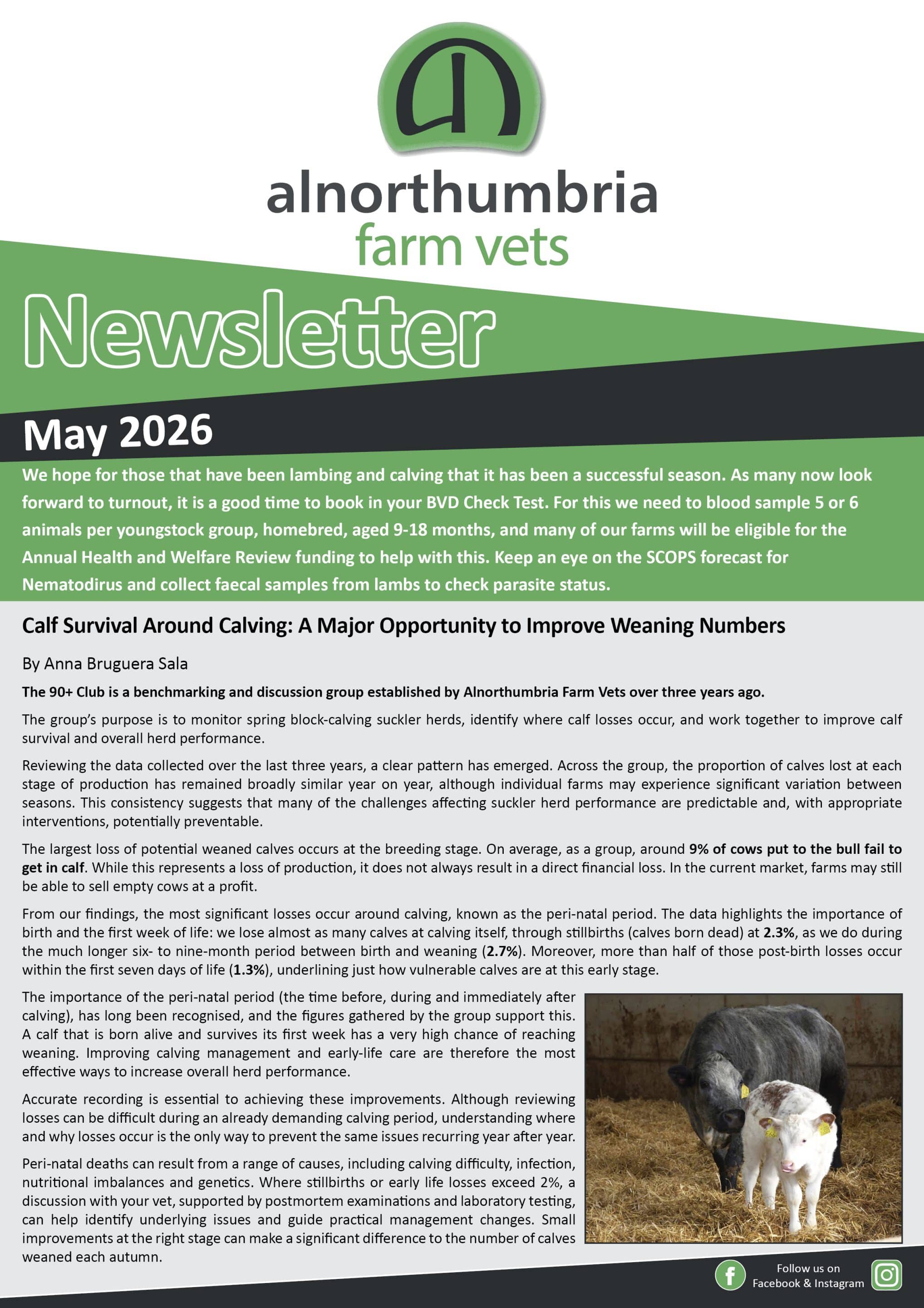 Newsletter May 2026