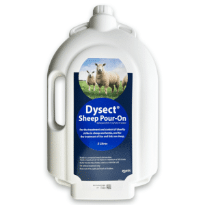 Dysect Sheep Pour On