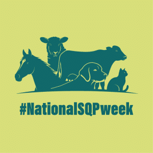 National SQP Week