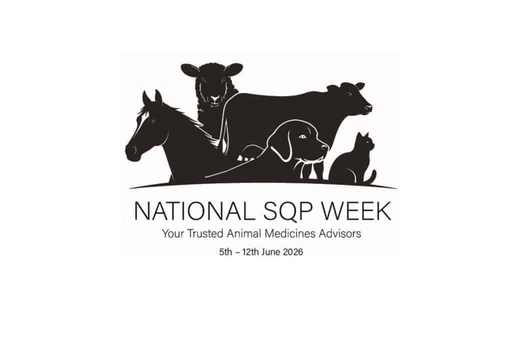 National SQP Week