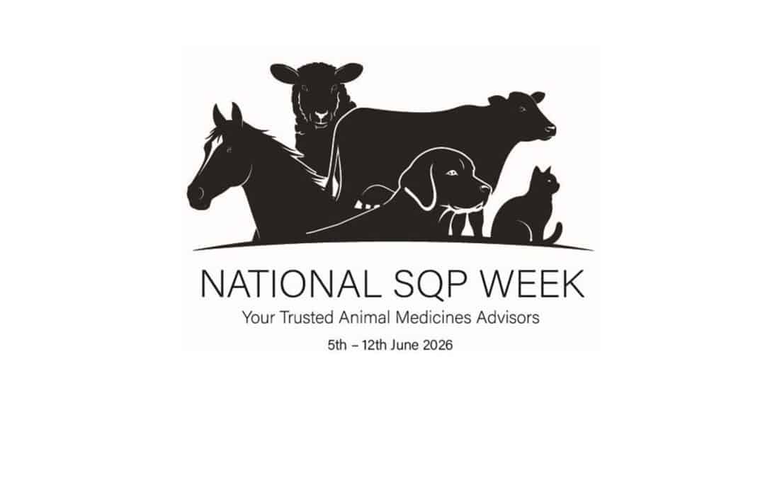 First ever National SQP Week