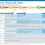 Newsletter October 2026